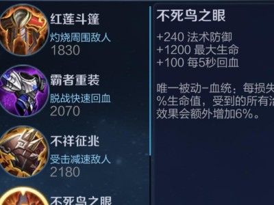 揭秘网上程咬金出装攻略（游戏必备，让你登顶排行榜！）