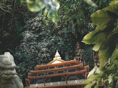 《以死亡爱丽丝引继码》引继码获取方法详解（从游戏内操作到官方渠道，掌握引继码领取攻略）