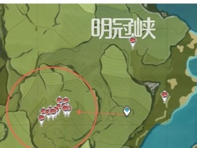 神秘的无相之草