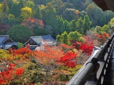 探秘kami第七页攻略（一步步攻略，尽握游戏先机）