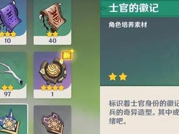 《原神》如何给散兵取名字？（散兵命名必备技巧，让你的队伍更有个性！）