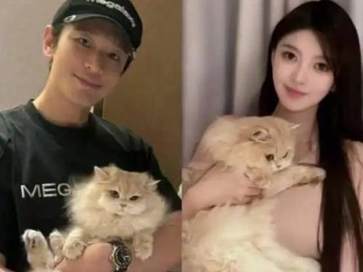 明星囚禁攻略（揭秘娱乐圈黑幕，如何保护明星安全、守密合作与迅速解救）