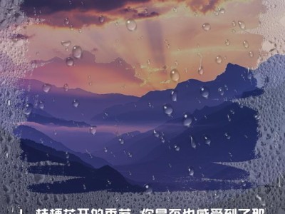 桔梗铭文出装攻略（铭文选择与技能配合，助你成为无敌指挥官）