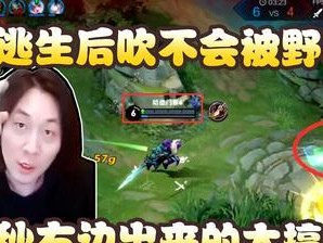 张大仙教你如何正确出装攻略李白（带你玩转李白，成为顶尖杀手）
