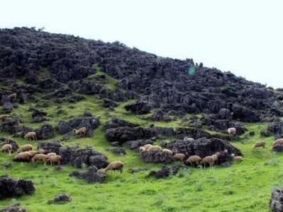 顶级跑马牧场攻略（体验顶级马术运动和豪华住宿，探索顶级跑马牧场的魅力）