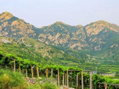 《解密风流庵攻略》（体验最激情的双人冒险之旅）