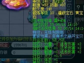 《梦幻西游胖总出装攻略》（最强胖总必备装备，让你成为主宰！）