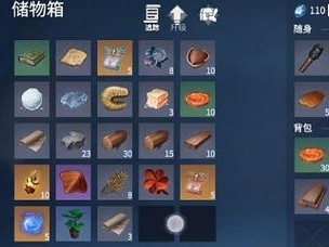 《冰原守卫者》游戏储存系统的用处（探索游戏储存系统的世界）