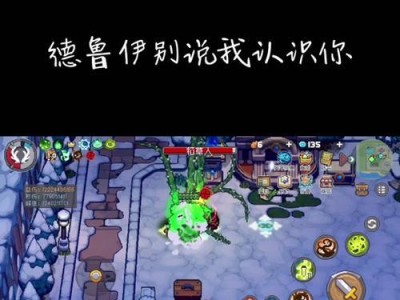 德鲁伊出装攻略（德鲁伊装备选择、技能加点和打法讲解，成为战场上的狂暴主宰）