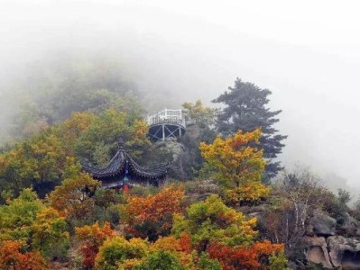 探寻梦幻千年老鼋的秘密（全面攻略，解锁无尽宝藏）